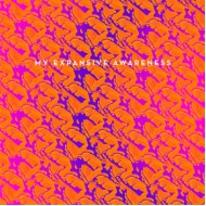 MY EXPANSIVE AWARENESS - Do You Wanna Be Rich? / I'm Dead